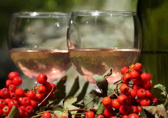 Оригинальный напиток – вино из рябины в домашних условиях